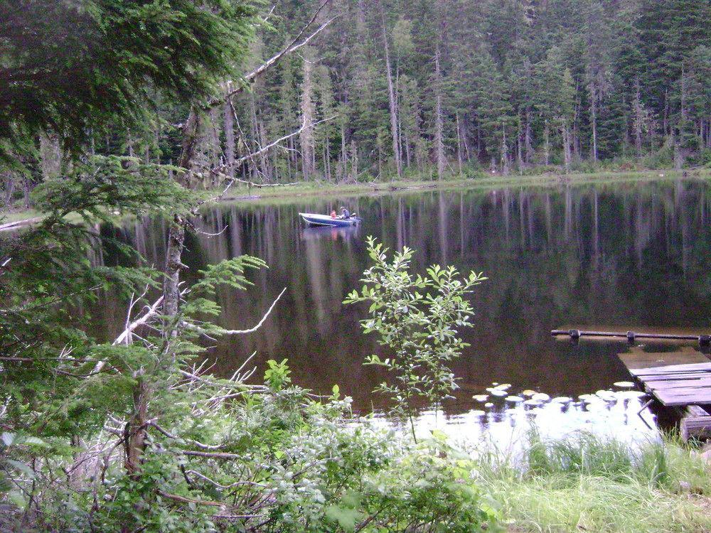Blue River Cabins & Campgrounds Eksteriør bilde